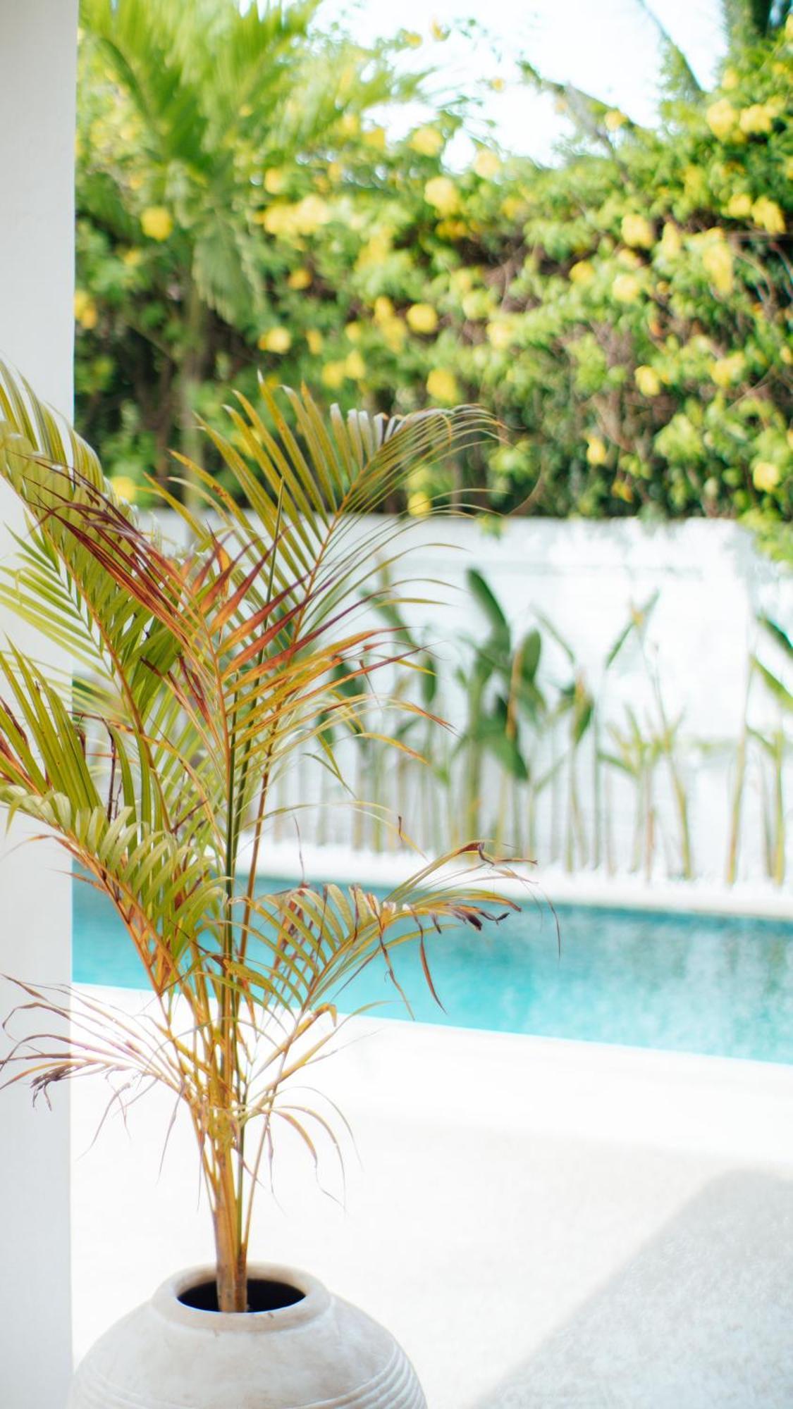 Apartamento The White Bay Lombok Kuta  Exterior foto